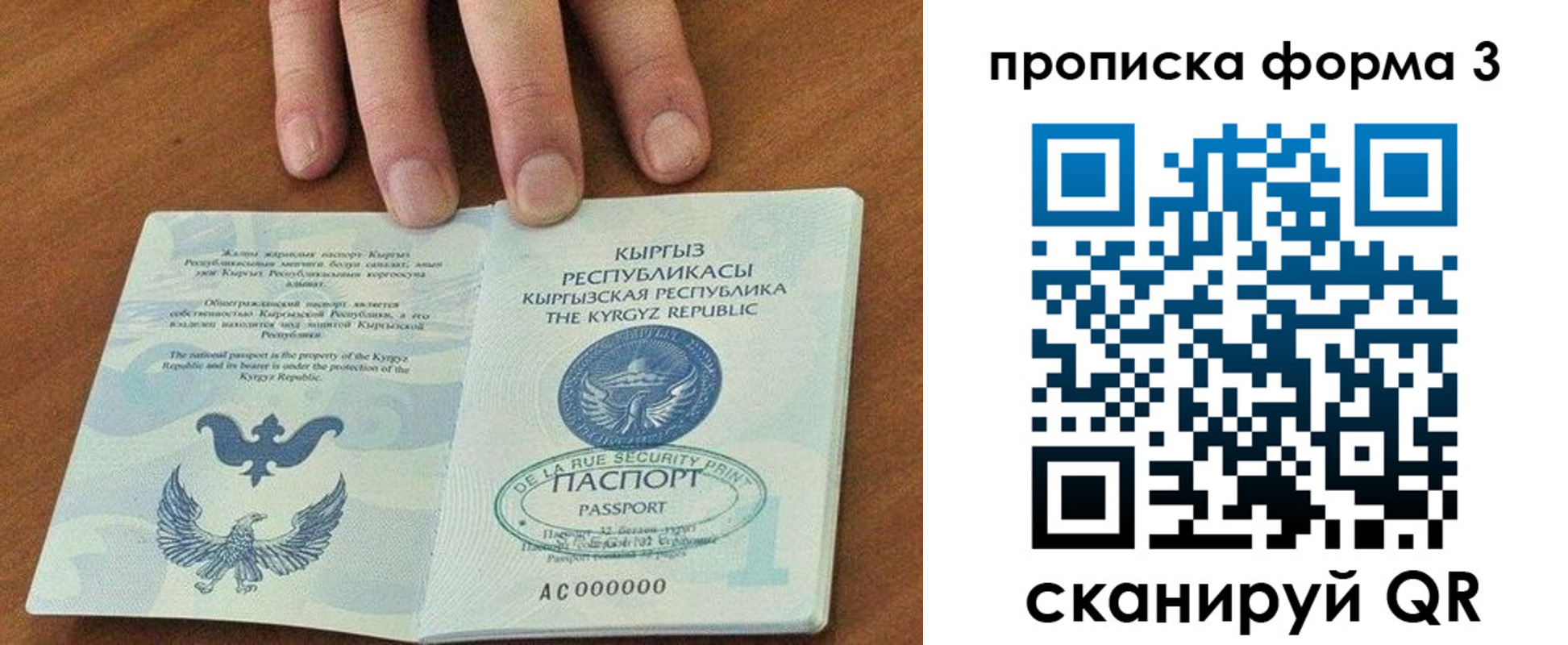 прописка 2025 в Сосновоборске